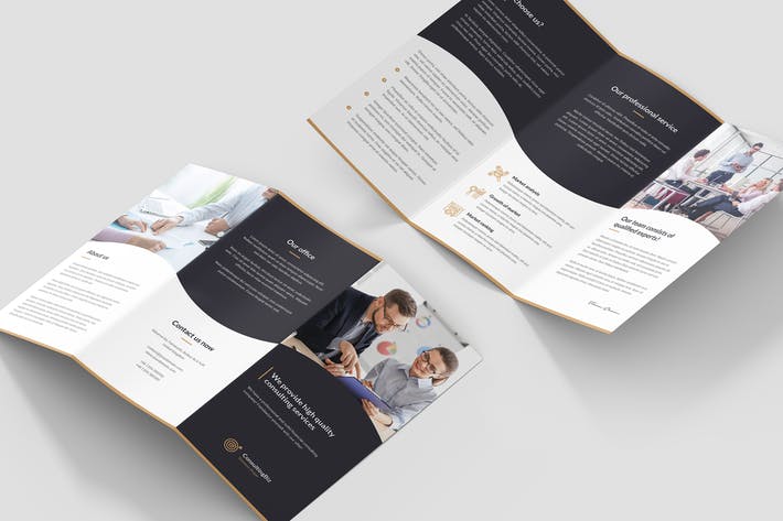 Brochure  Business Consulting Tri-Fold