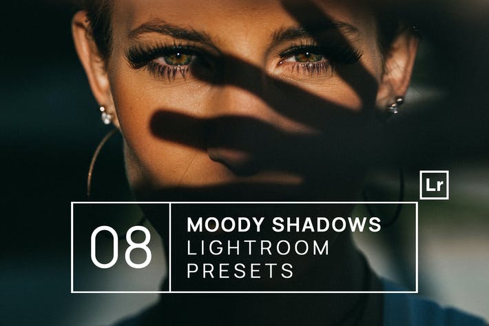 8 Moody Shadows Premium Lightroom Presets