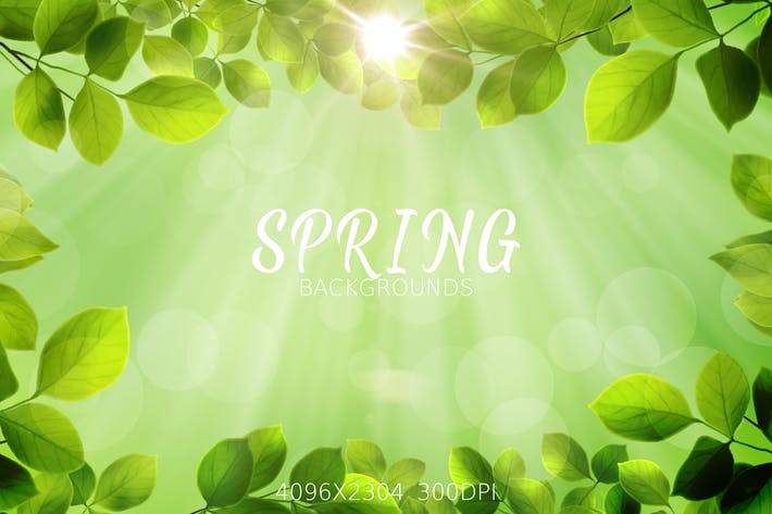 Spring Leaves Backgrounds