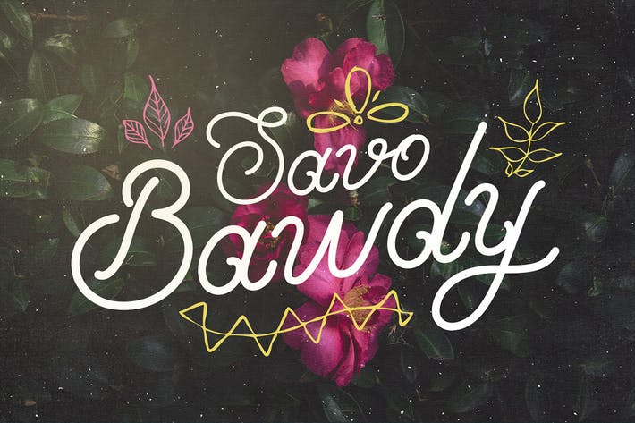 Savo Bawdy - Cursive Typeface