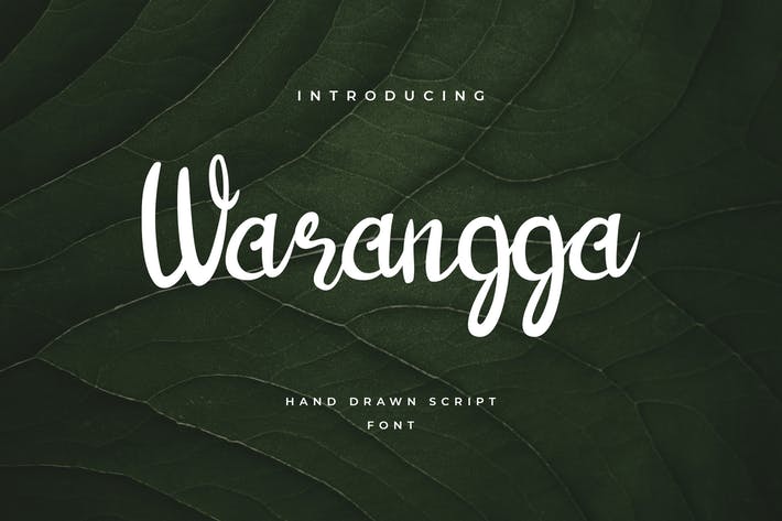 Warangga Hand Letter Script Font