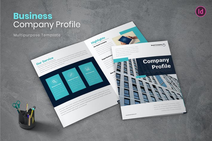 Business Profile Company Profile