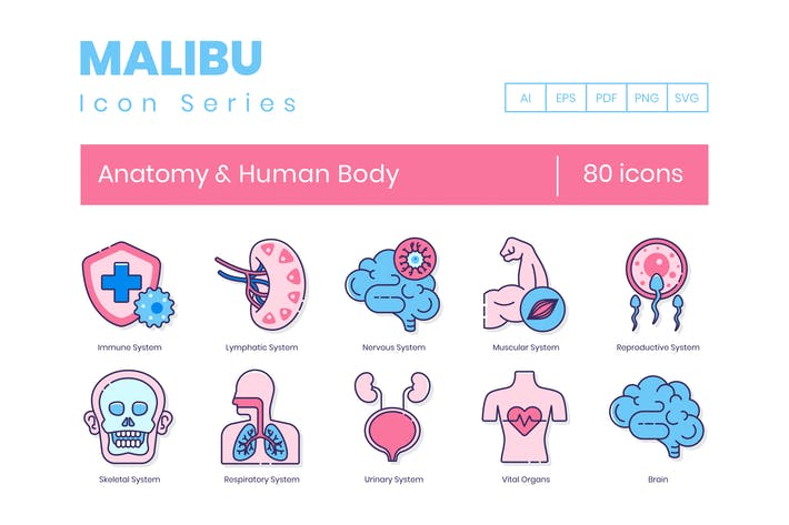 80 Anatomy & Human Body Line Icons
