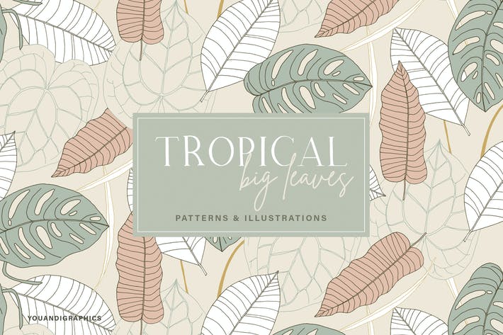 Big Leaves - Tropical Patterns
