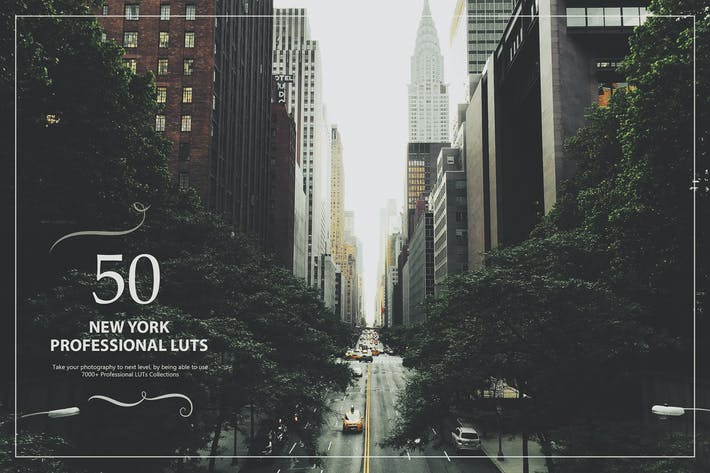 50 New York LUTs (Look Up Tables)